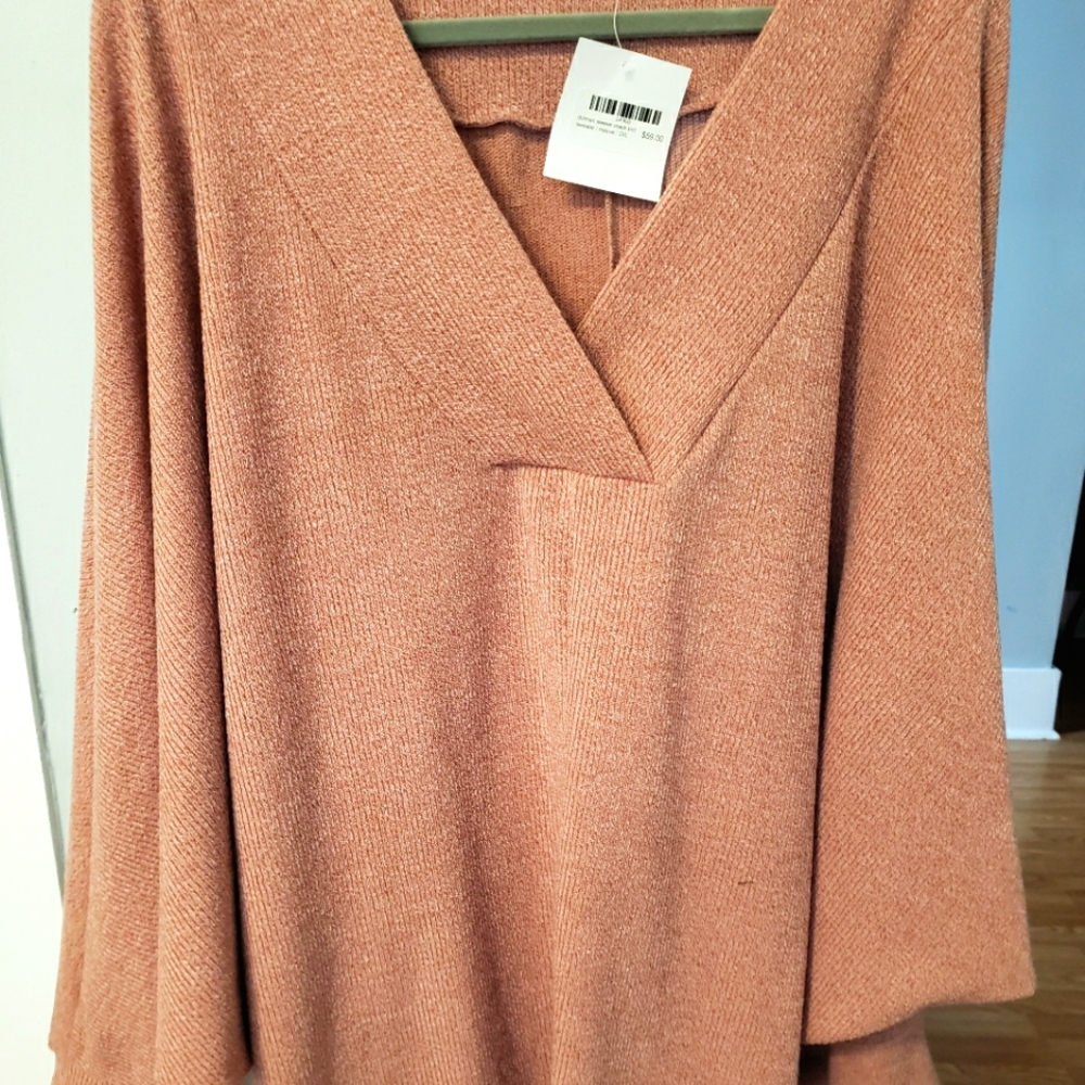 Nwt entro 3x oversized top